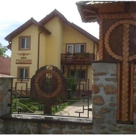 Pensiunea Pentru Tine Prietene Arcani 객실 사진