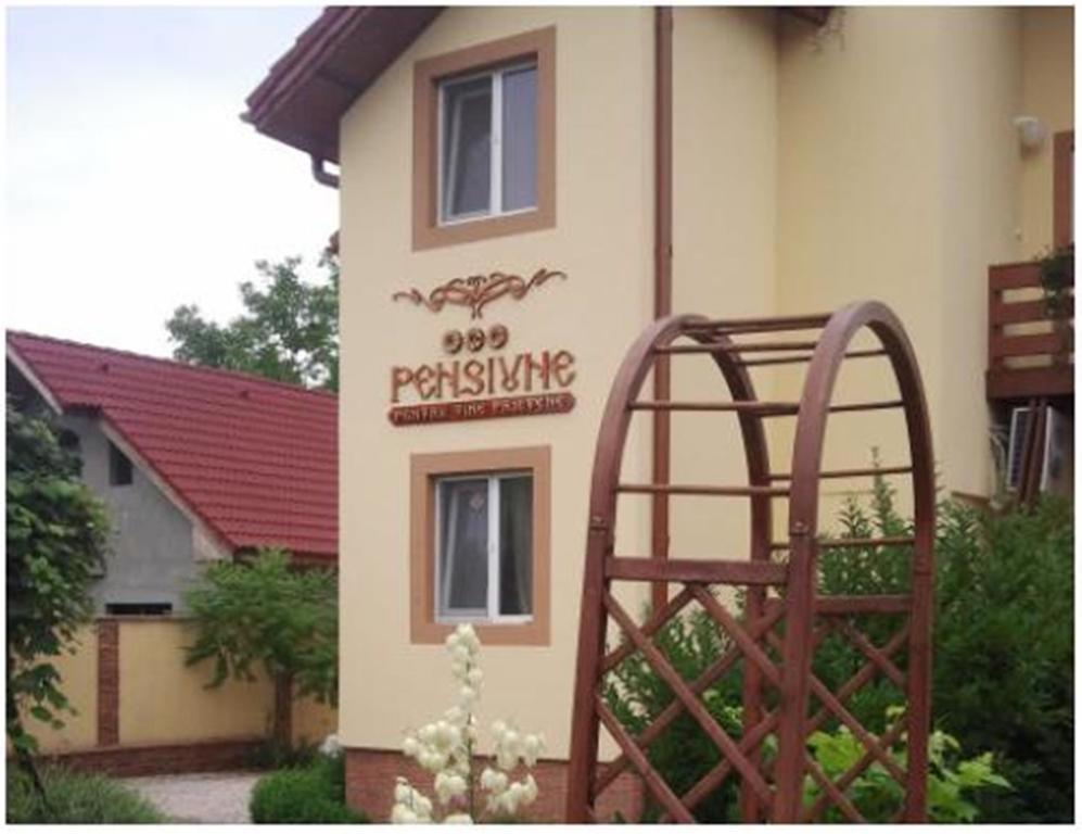 Pensiunea Pentru Tine Prietene Arcani 외부 사진
