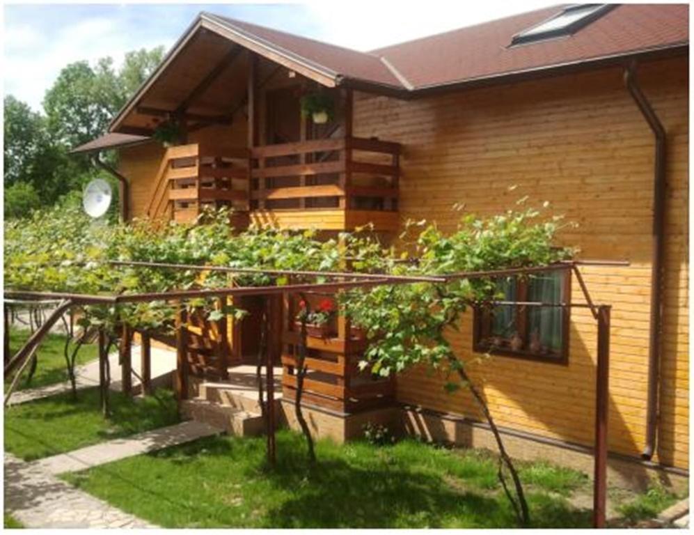 Pensiunea Pentru Tine Prietene Arcani 외부 사진